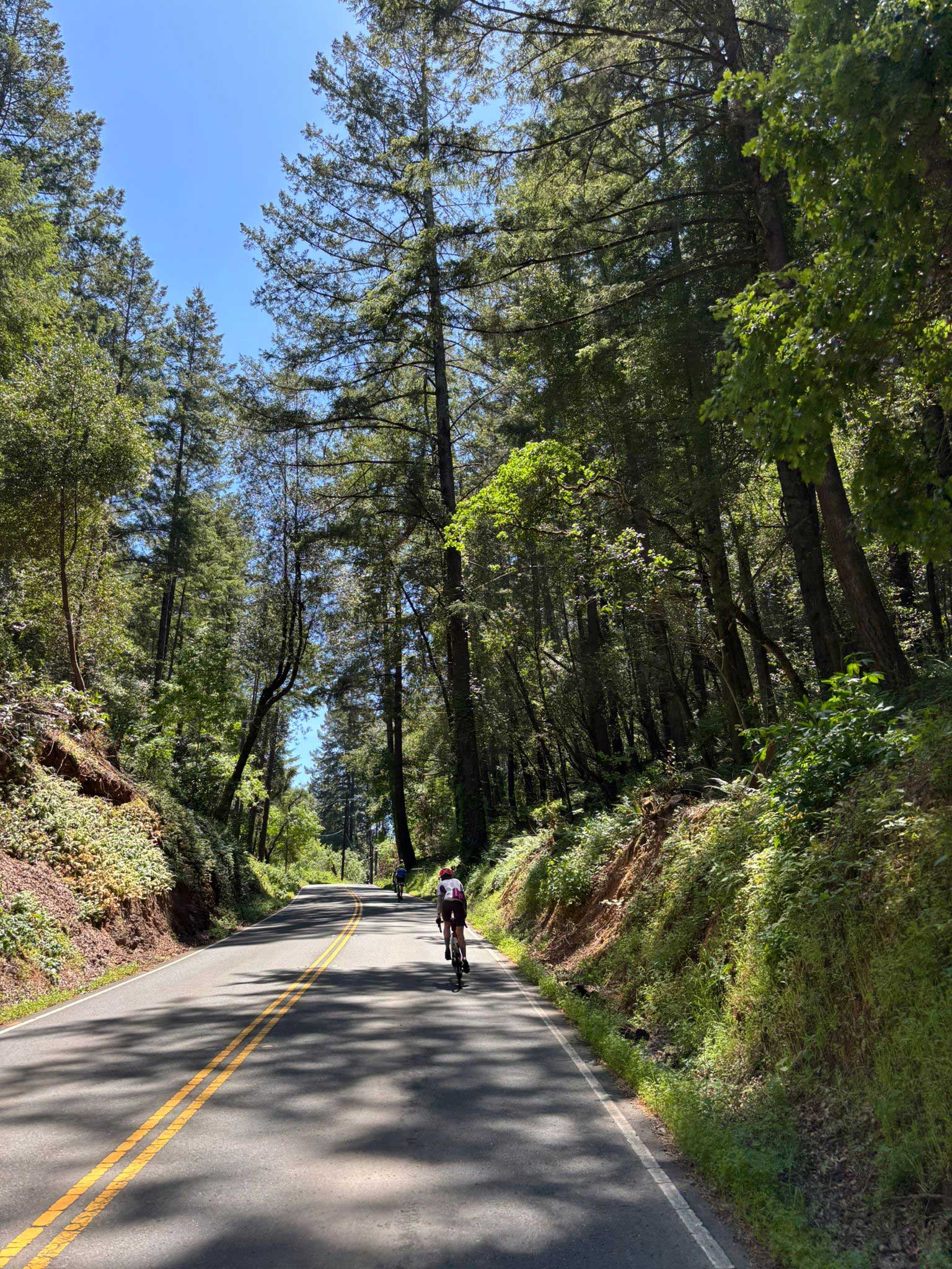 LGBRC Cycling Camp in Healdsburg